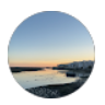 Joana Freire google review icone