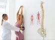 Profissional de saúde a observar o alinhamento postural de uma adolescente durante uma consulta. Caption: A observação postural pode fazer parte da avaliação clínica quando existe suspeita de escoliose.